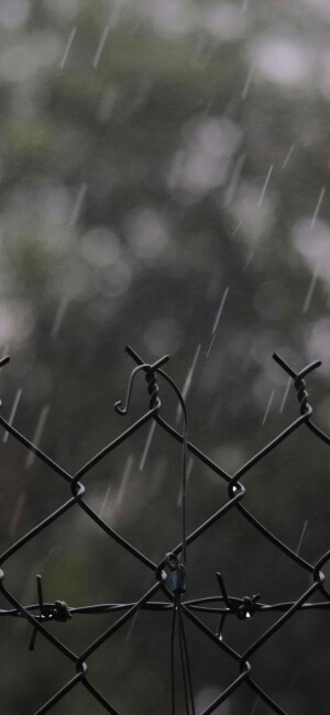 雨风景壁纸