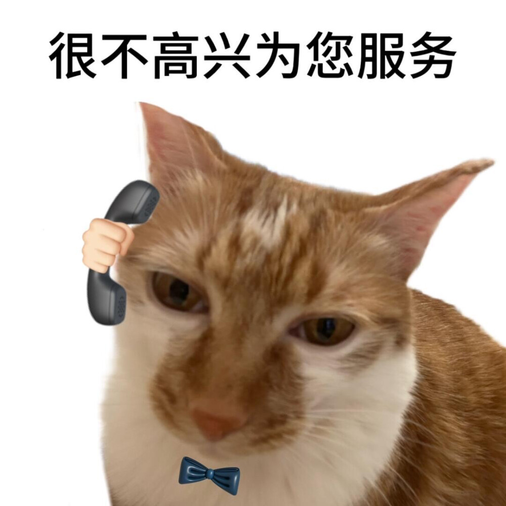 表情包