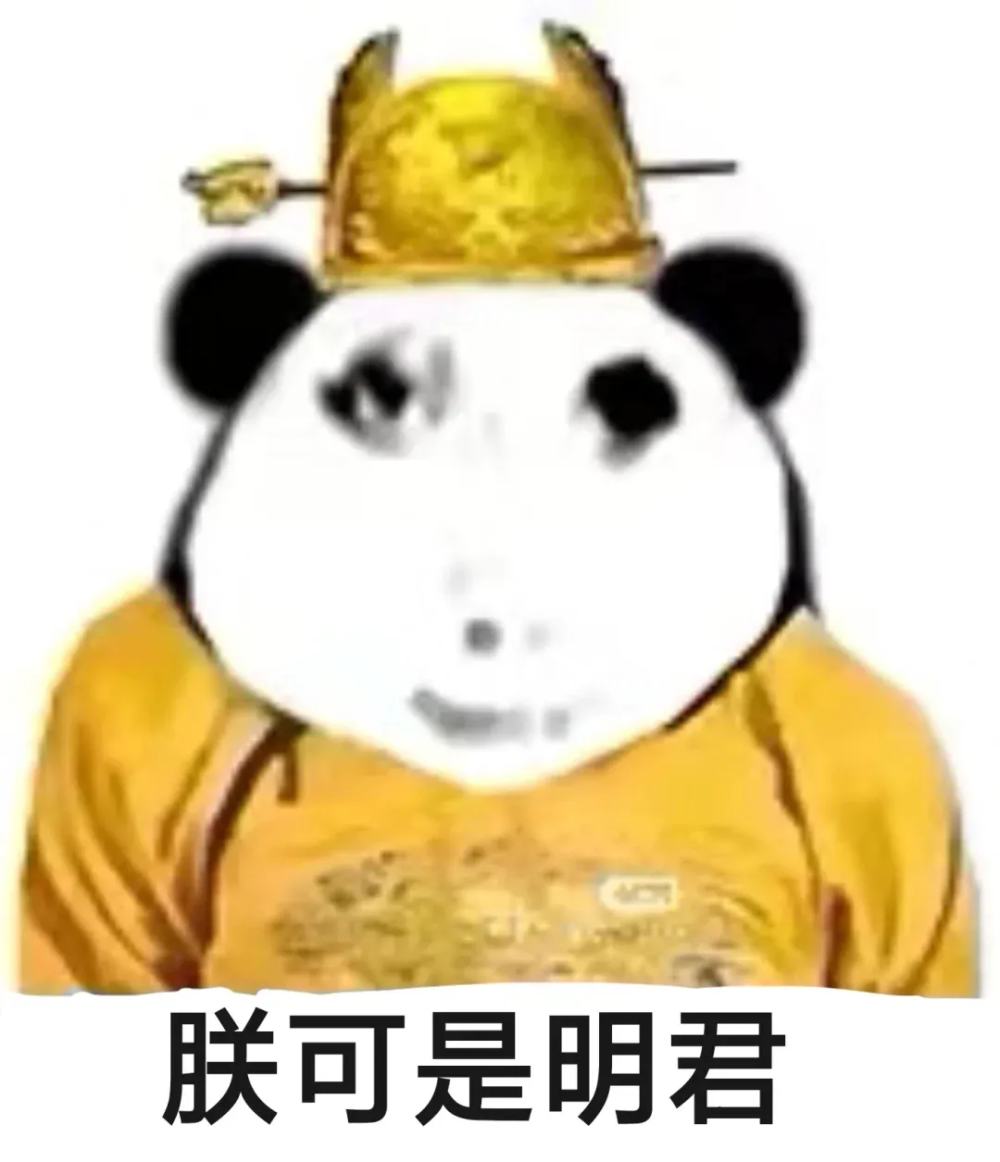 龙龙