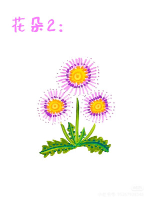 花卉