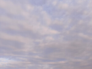 赵露思