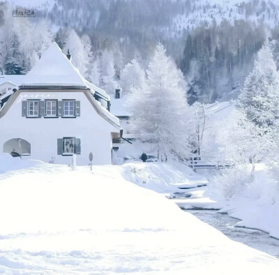 雪地里相爱 他们说零下已结晶的誓言不会坏