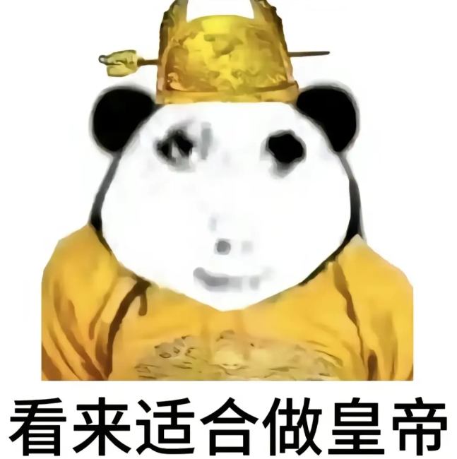 龙龙