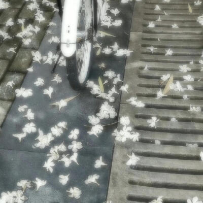 梦