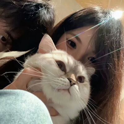 爱小猫更爱你
真人情头