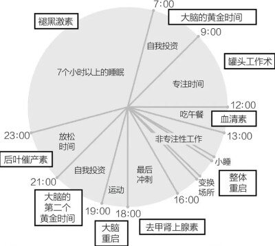 精力