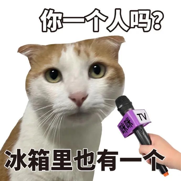 猫猫表情包