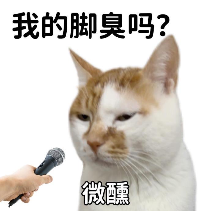 已读乱回表情包