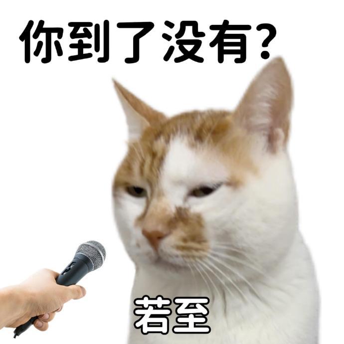 已读乱回表情包