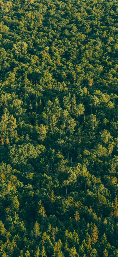 风景壁纸 拿图点赞哦