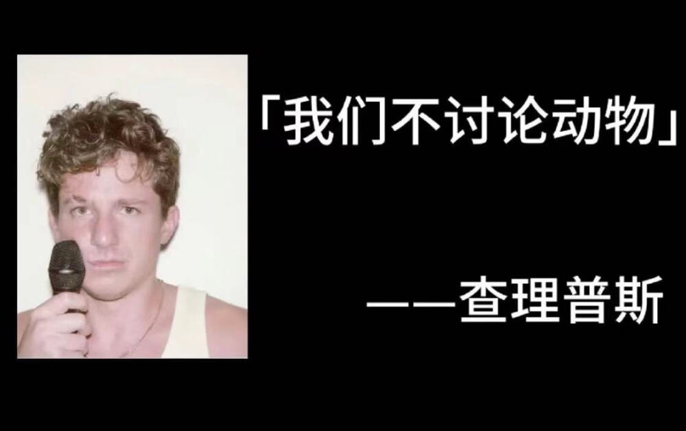 we don't talk anymore 查理普斯 Charlie Puth