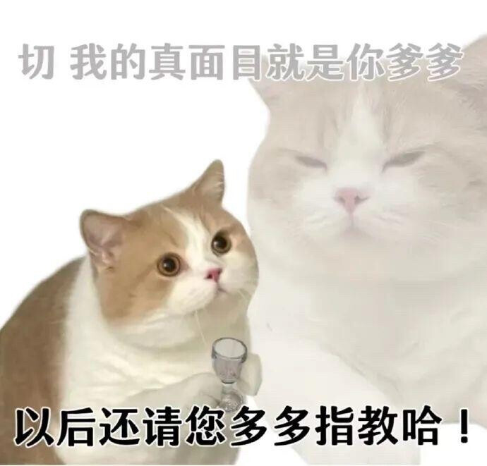 你很胖 才不是毛茸茸