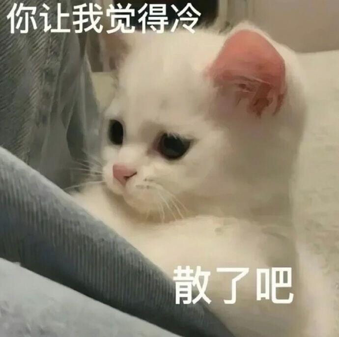 你很胖 才不是毛茸茸