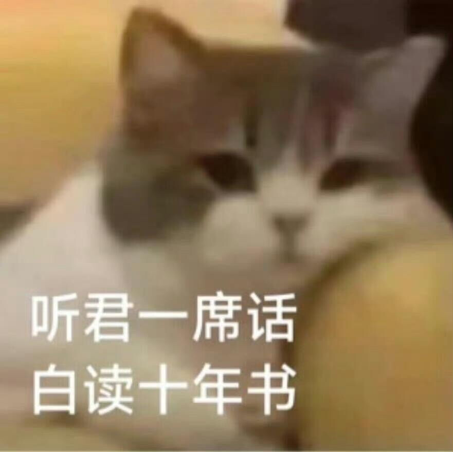 你很胖 才不是毛茸茸