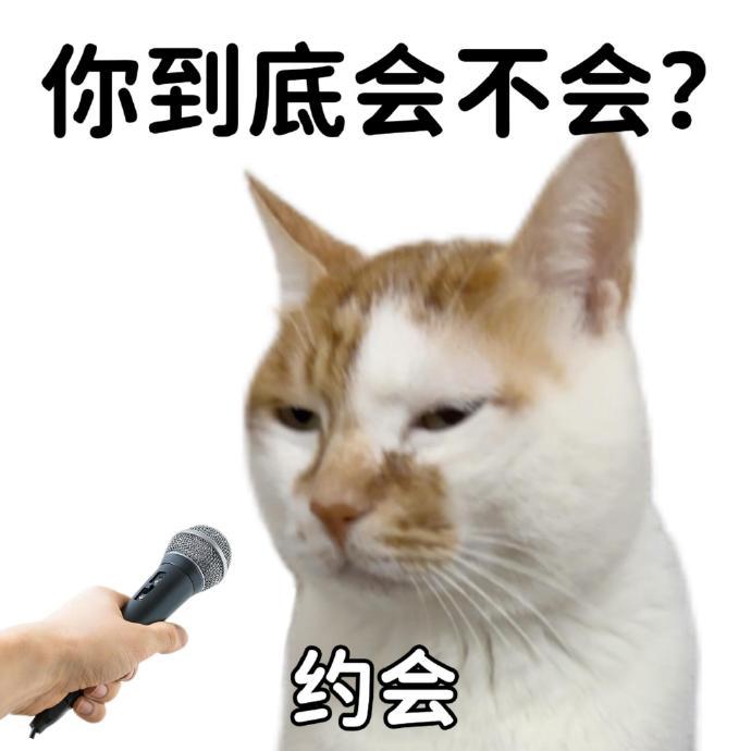 已读乱回表情包