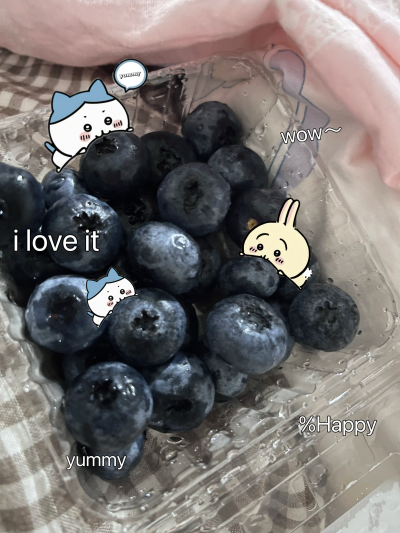 蓝莓蓝莓