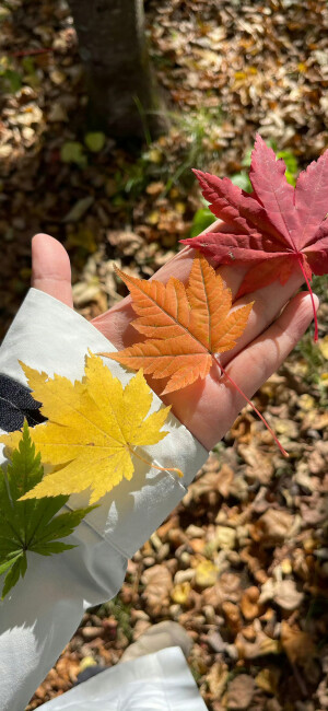 丰富一下手机壁纸吧 ‪.ᐟ‪.ᐟ ​​​
#小清新壁纸#