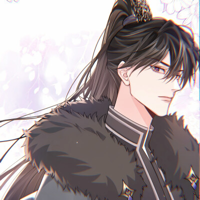 二哈和他的白猫师尊