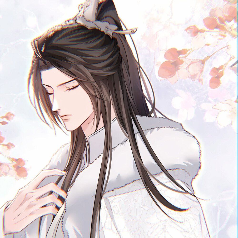 二哈和他的白猫师尊