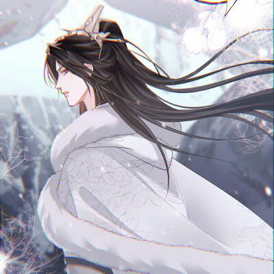 二哈和他的白猫师尊