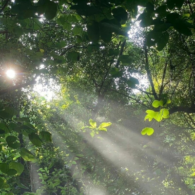 朋友圈背景 壁纸 背景图