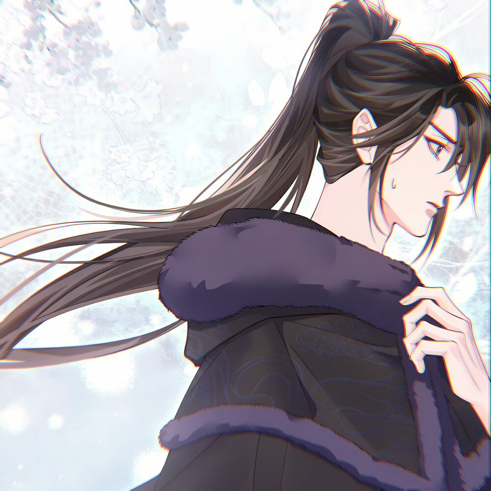 二哈和他的白猫师尊