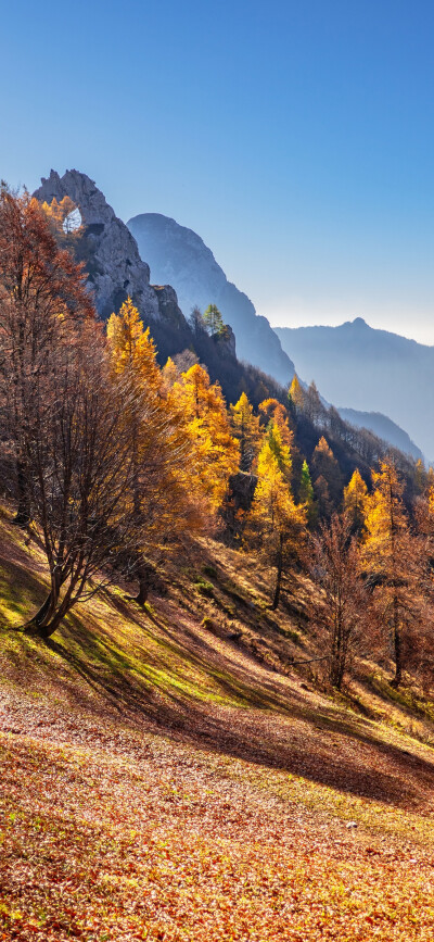 风景壁纸