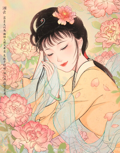 《红楼梦》（新浪微博：梨照）