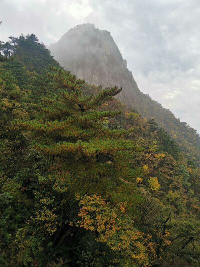 九华山