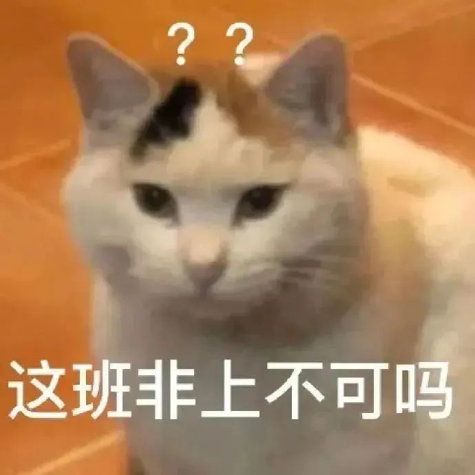 猫猫表情包