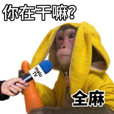 吗喽表情包