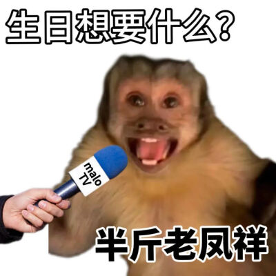 吗喽表情包