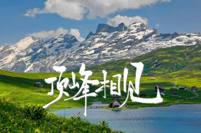 上岸了吗
