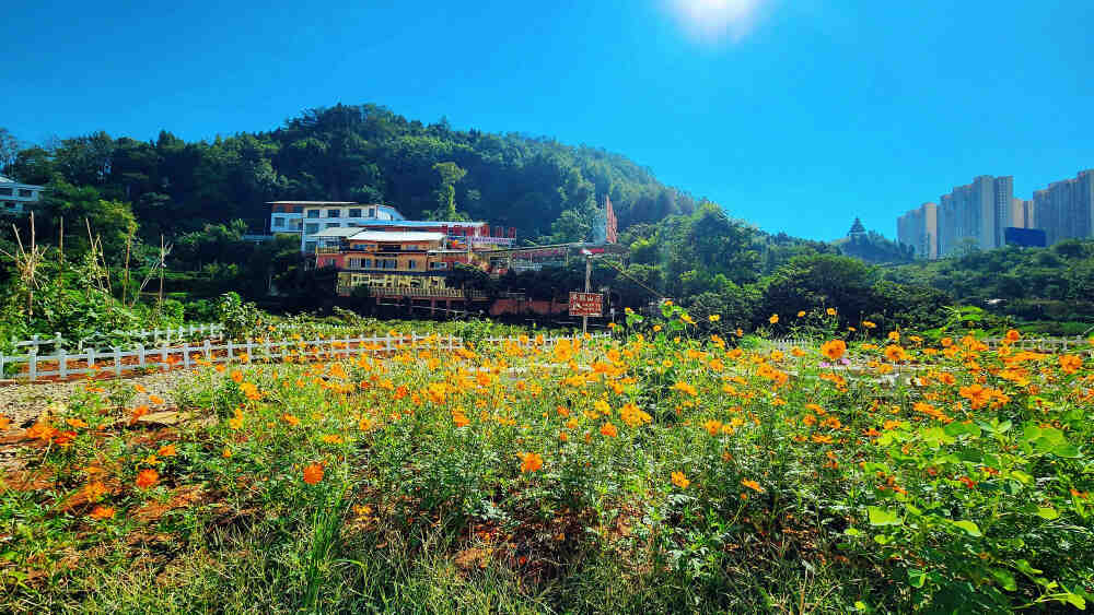 凯里景园休闲山庄，山庄里古木参天，殿宇楼台林立，加上灰墙，青瓦，青石板，竹编，小桥流水，锦鲤簇拥，这，就是景园的模样，摒弃了都市的钢筋水泥，隐逸在城乡边缘，回归到最初的样子,展示着乡土的气息，独享着不可复制的天生静谧与悠然，这一切只希望给您提供一个温暖舒适的家园。除此外，环望整个山庄，成片花草，庭院青青，夜间所有楼宇线条分明、清新沉静，这不仅是一份乡愁的重温，更是一种美好的民俗健康体验，而我们希望您，踏上朝北的阳 ，望漫天星斗，返璞归真~