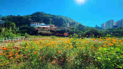 凯里景园休闲山庄，山庄里古木参天，殿宇楼台林立，加上灰墙，青瓦，青石板，竹编，小桥流水，锦鲤簇拥，这，就是景园的模样，摒弃了都市的钢筋水泥，隐逸在城乡边缘，回归到最初的样子,展示着乡土的气息，独享着不…