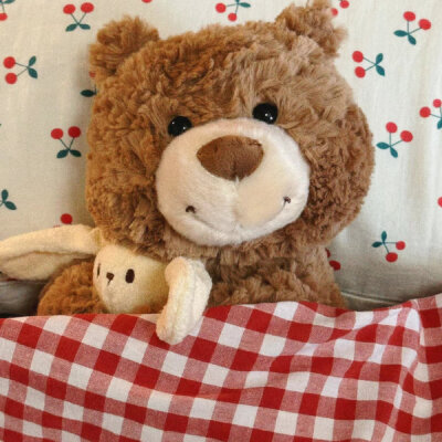 小熊头像 | 可爱