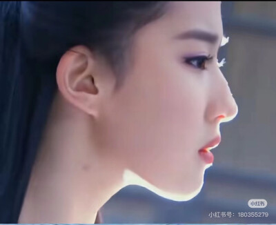 刘亦菲-小红书转载