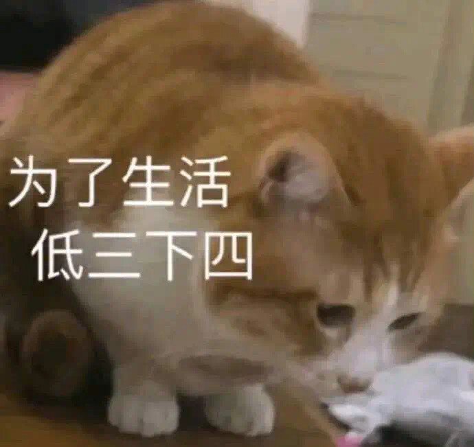 表情包