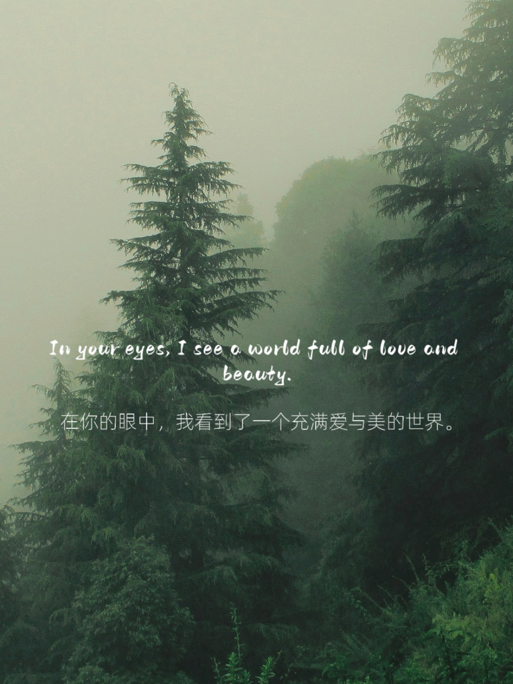 惊艳一生的句子
