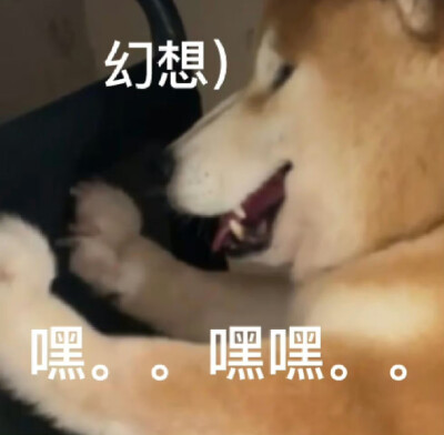 柴犬表情图 狗狗表情图