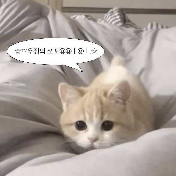 (^_^;)