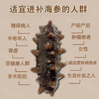 海参自古就被人们所认识，明朝万历年间，记载政局时事和风土人情的《五杂俎》，也提及海参，称其 “辽东海滨有之，其性温补，足敌人参，故曰海参。” 这里说的是海参有温补功效。