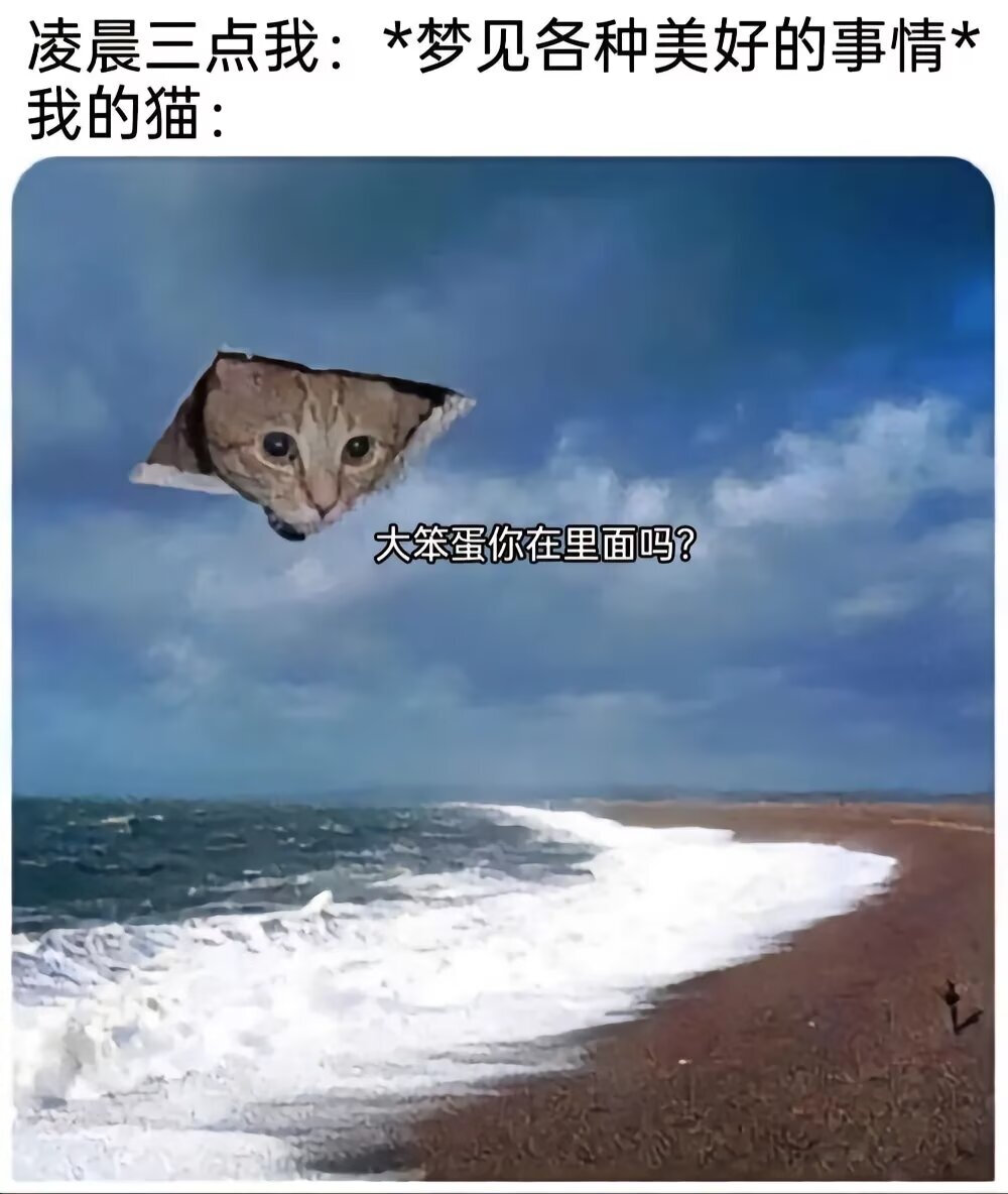 meme梗图