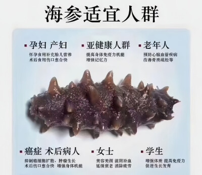 海参功效
