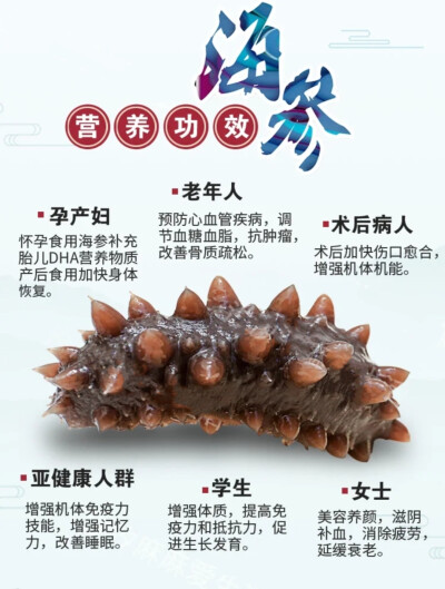 海参功效