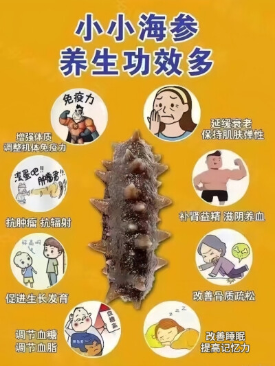 海参功效