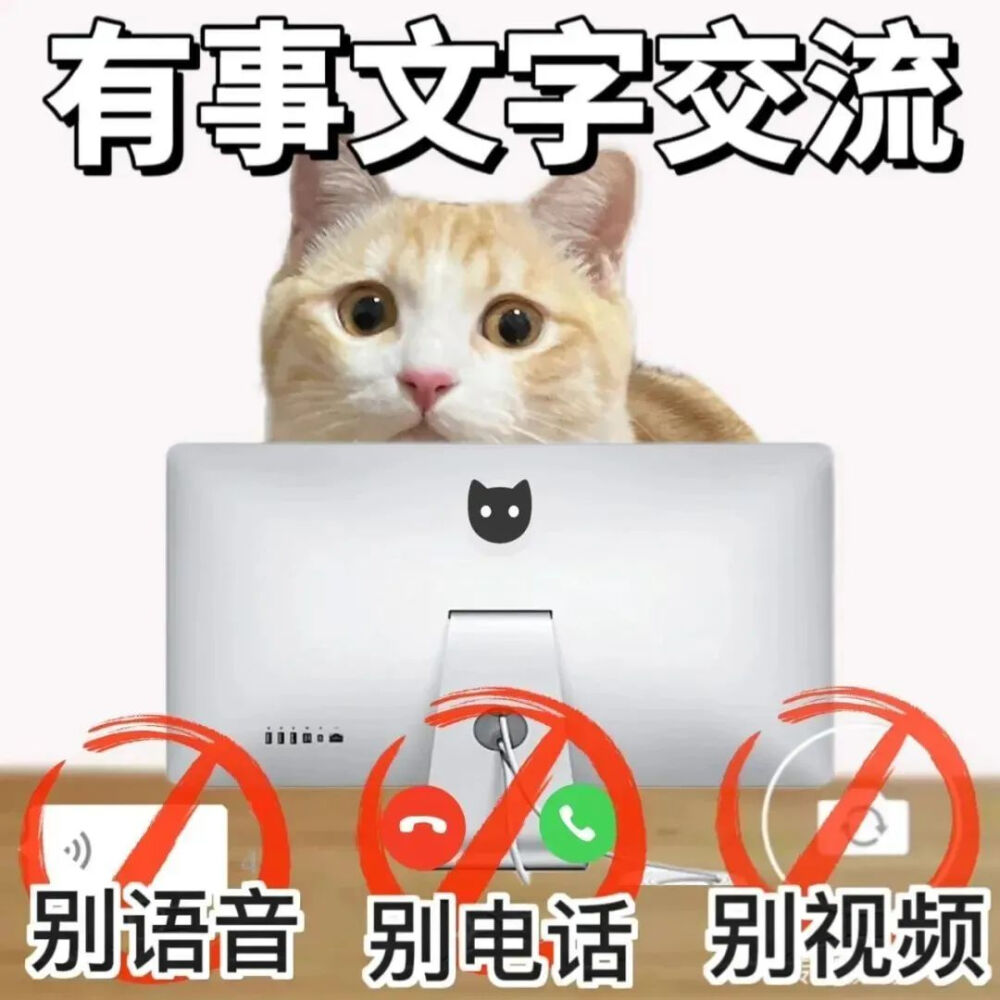 猫猫表情包