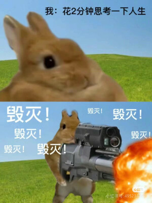 表情包