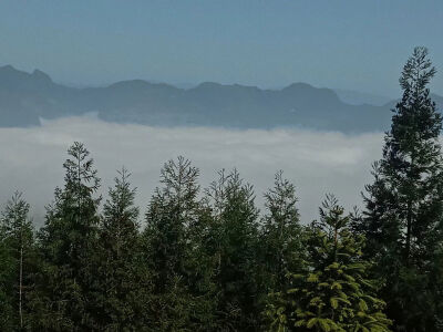 底素 背景
实拍温言