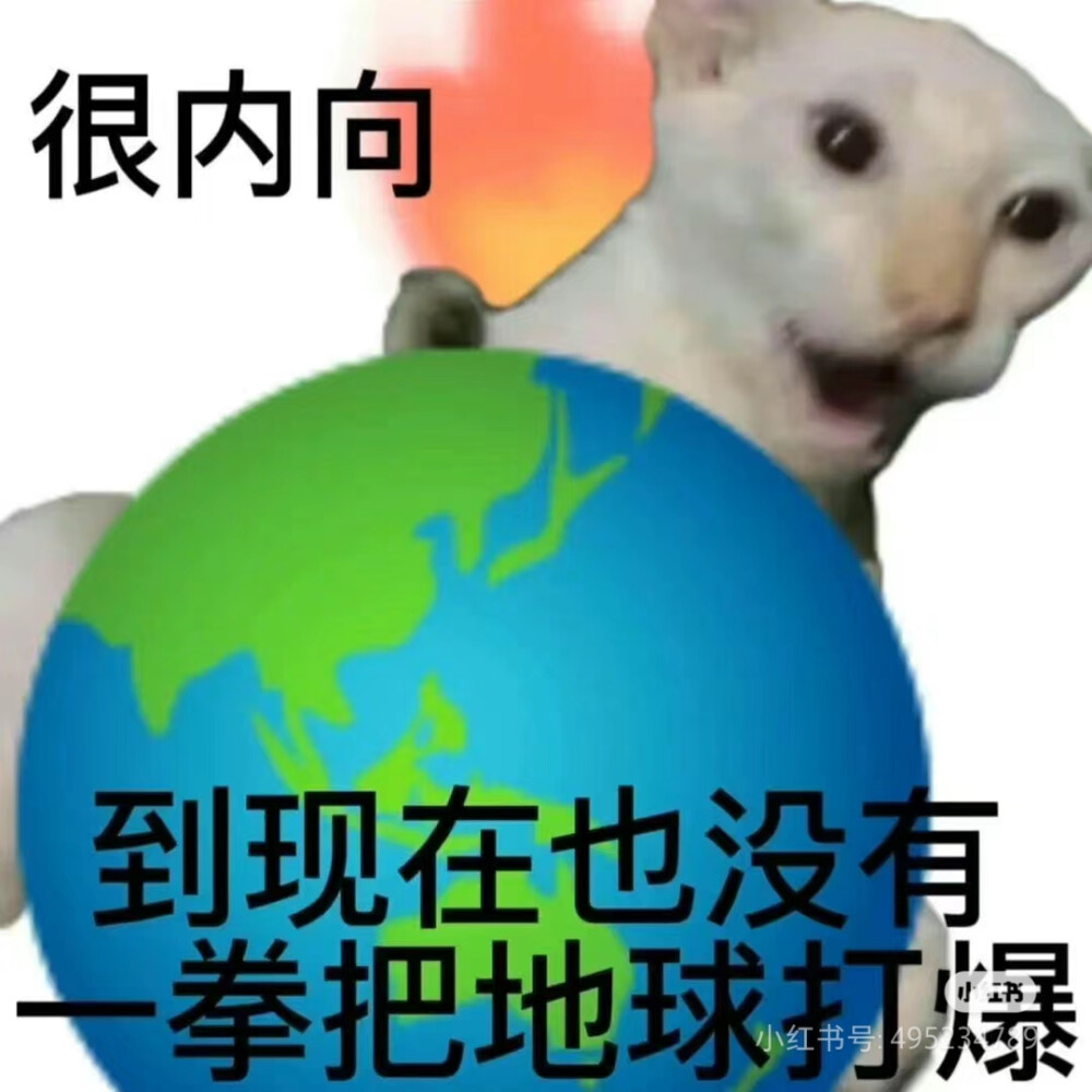 猫猫表情包